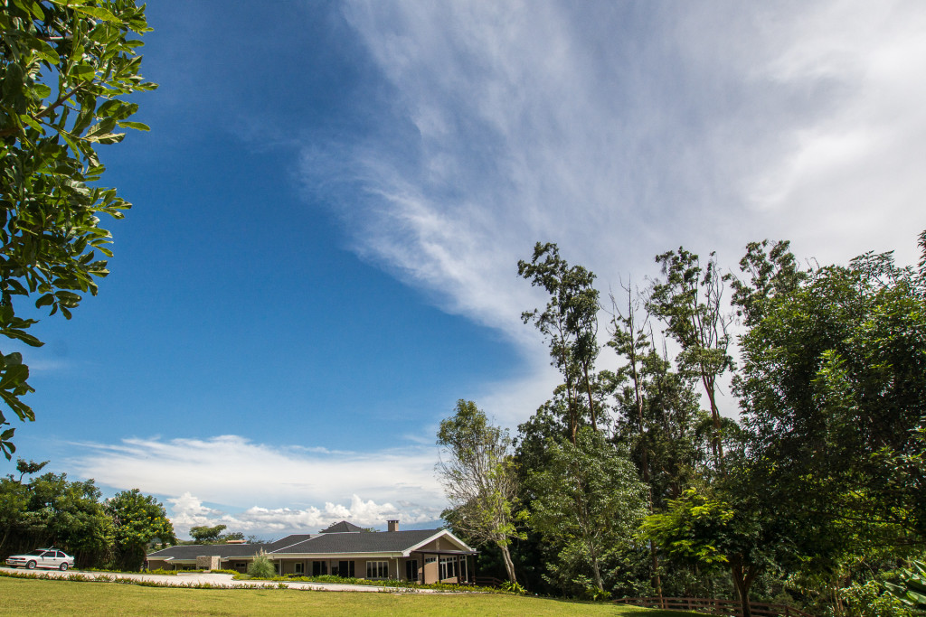 Contemporary remodeled villa with entertaining areas and its own forest Contemporary remodeled villa with entertaining areas and its own forest