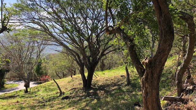 Lot for sale in private residential, surrounded by nature Se vende lote en residencial privado