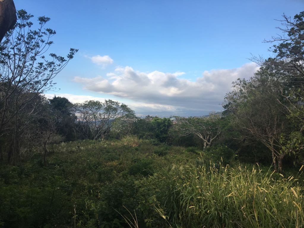 Amazing location. Flat lot with views, lots of nature around in residential Amazing location. Flat lot with views, lots of nature around in residential