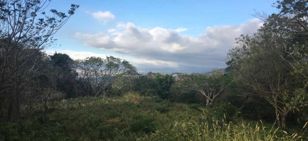 Amazing location. Flat lot with views, lots of nature around in residential venta LOTE 856m en residencial. Vista, tranquilidad