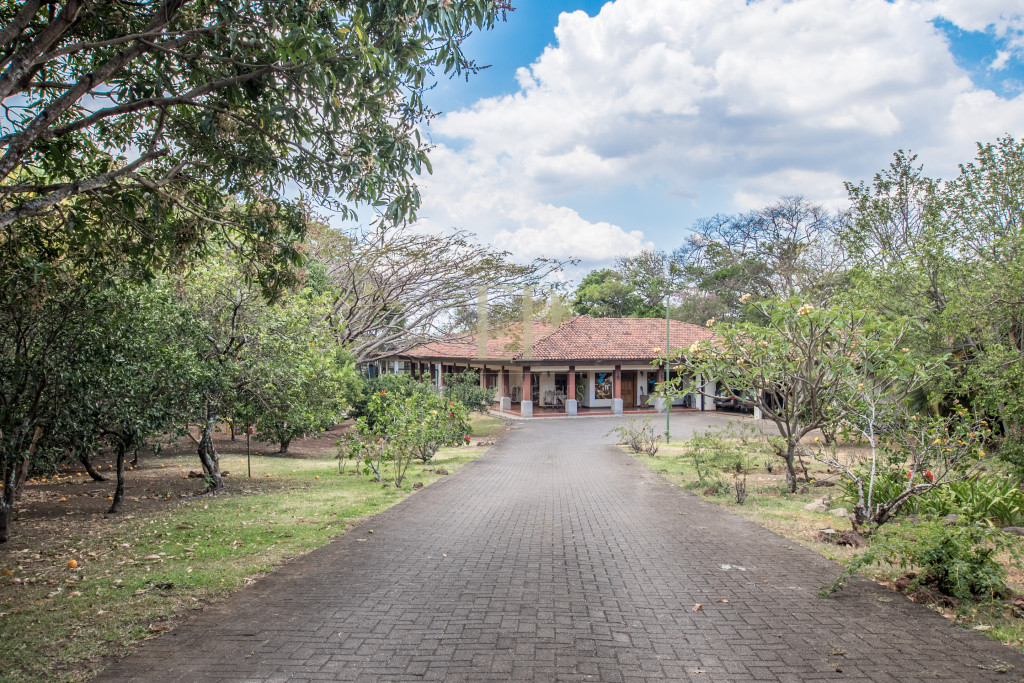 Beautiful one level home with lots of character and private jungle on the back Beautiful one level home with lots of character and private jungle on the back
