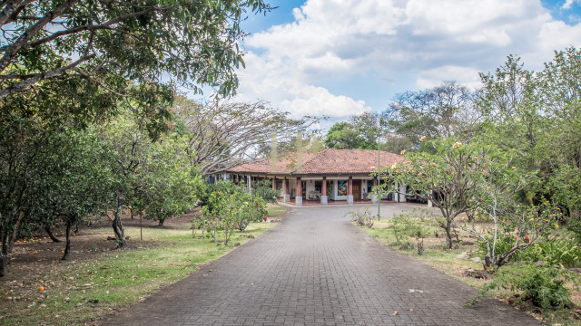 Beautiful one level home with lots of character and private jungle on the back casa de un nivel en rio oro