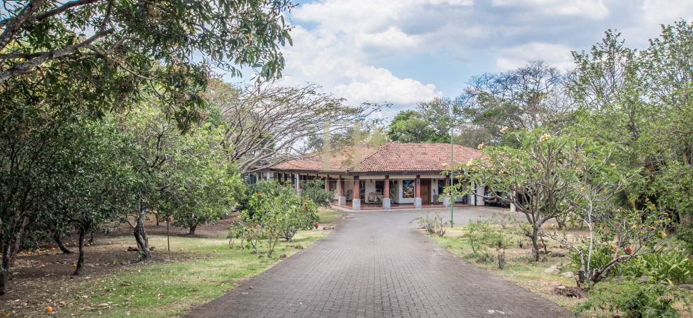 Beautiful one level home with lots of character and private jungle on the back casa de un nivel en rio oro