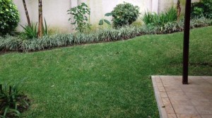 photo-1-32