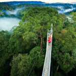 Brunei Photo1