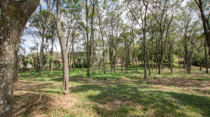 PozosForestHouse-14