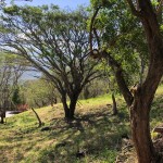 Se vende lote en residencial privado