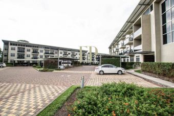 nice modern, luxury apartment in Riverpark Avalon