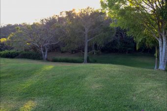 965_Cottage_SouthernView
