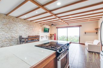House Condominium in Guachipelín de Escazu