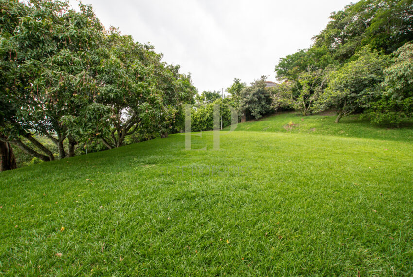 lot in Santa Ana Piedades for developers or single residential home