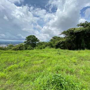 Lote Escazu