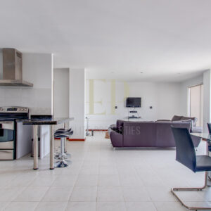 Real Estate Costa Rica Furnished apartment Escazu Trejos Montealegre