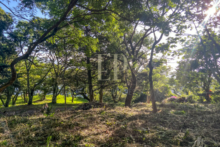 costaricahpotographer0001