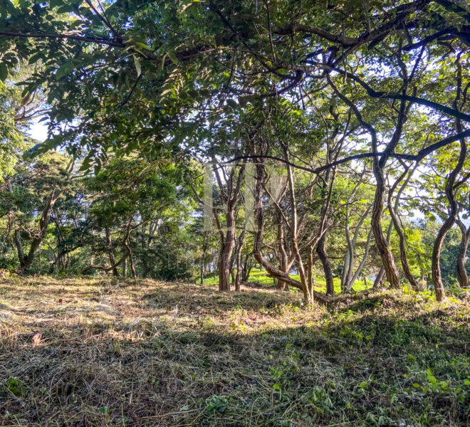 Santa Ana Montana Del Sol Lot for sale
