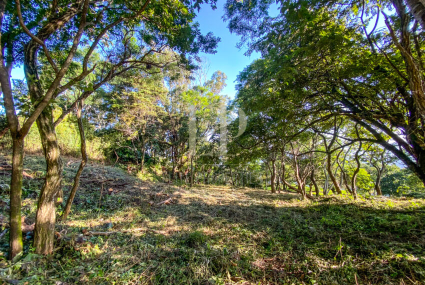 Santa Ana Montana Del Sol Lot for sale
