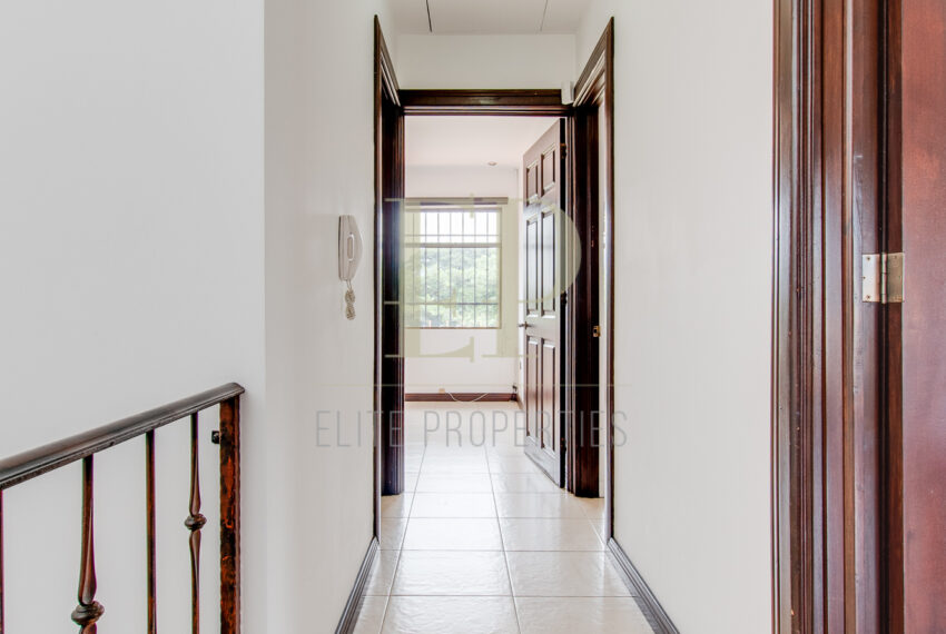 costaricahpotographer_0024