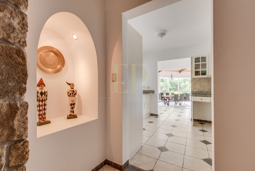 costaricahpotographer_0031