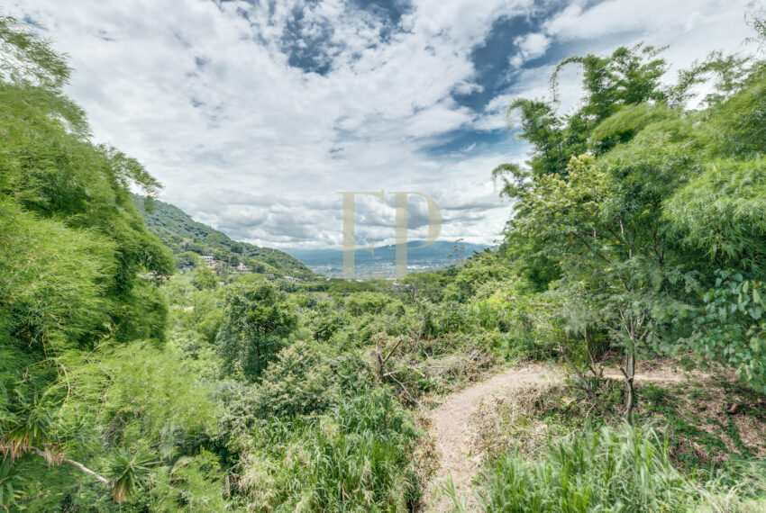 costaricahpotographer_0046