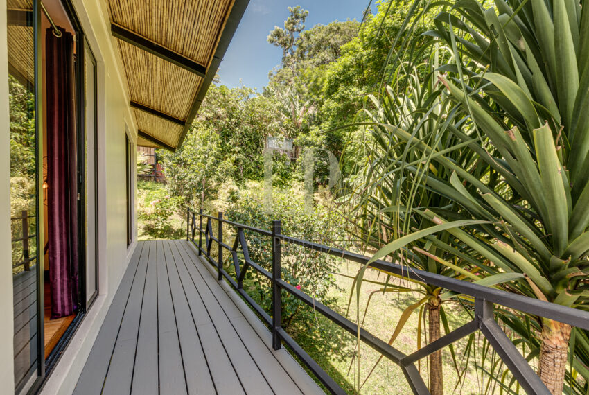 costaricaphotographer_0025