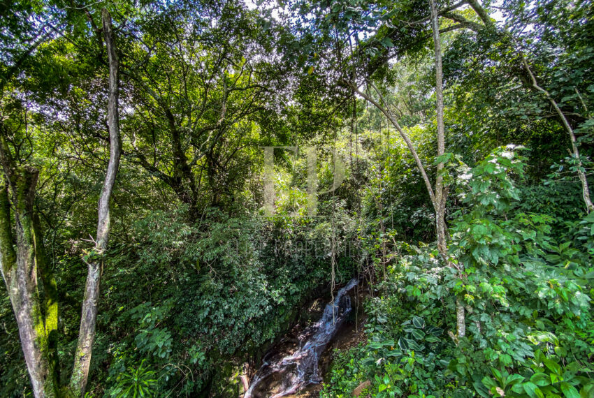 costaricaphotographer_0026