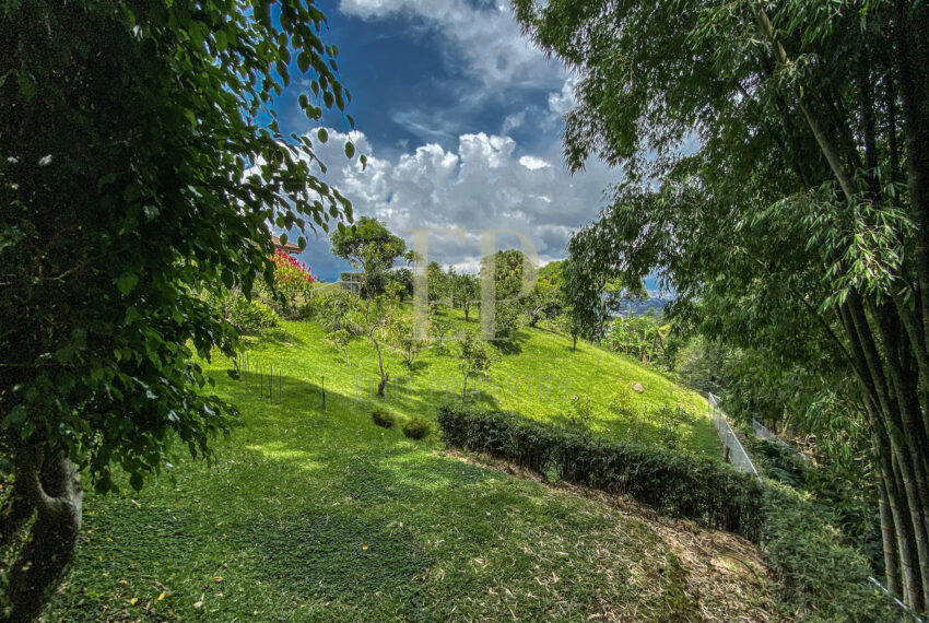 costaricaphotographer_0027