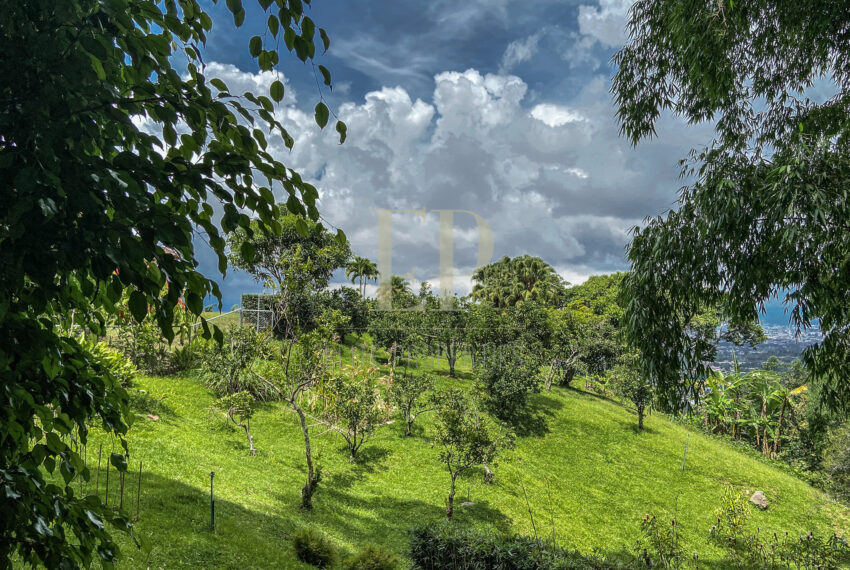 costaricaphotographer_0028