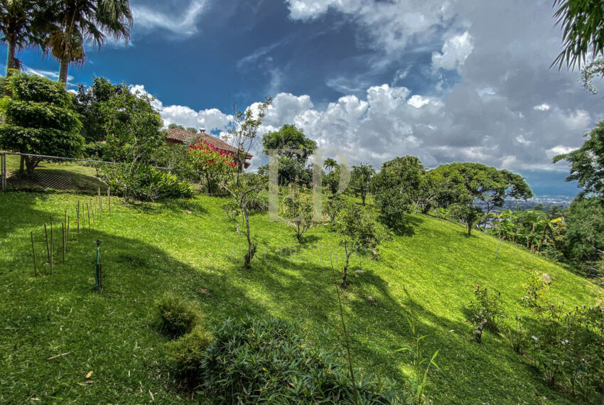 costaricaphotographer_0029