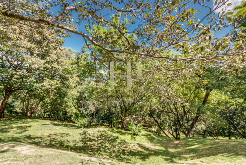 lighthousestudiocr_0024