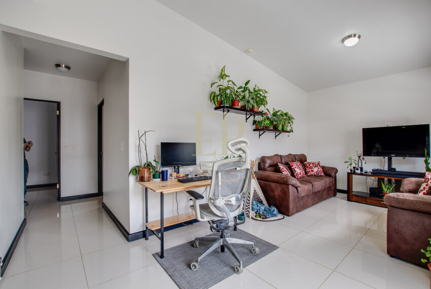 eliteproperties-10
