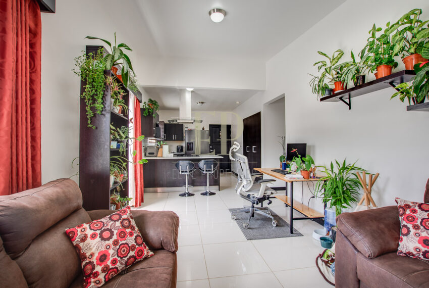 eliteproperties-9