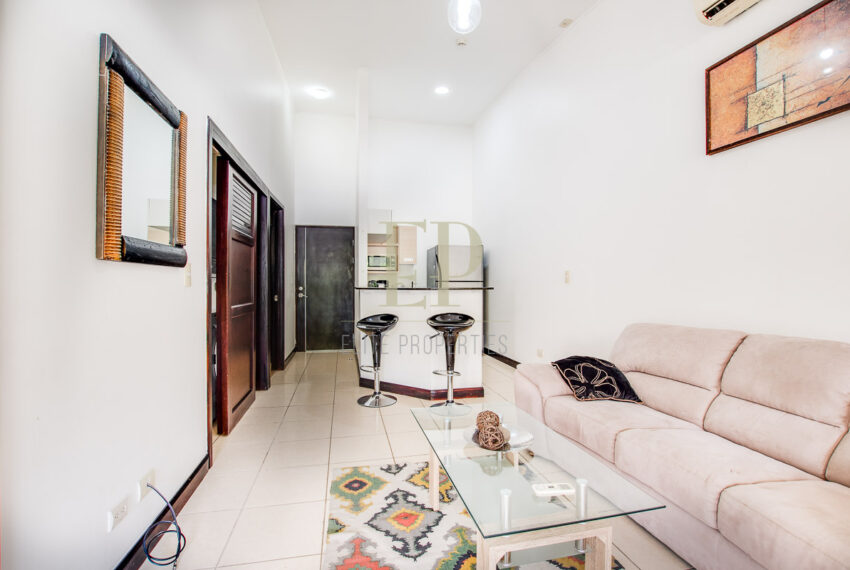 eliteproperties-15