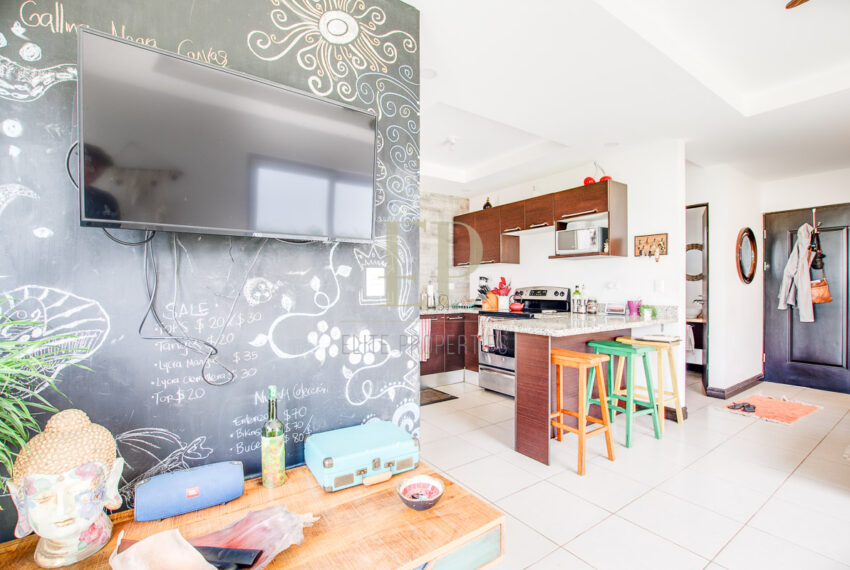 eliteproperties-4