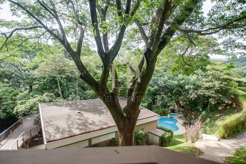 eliteproperties-22