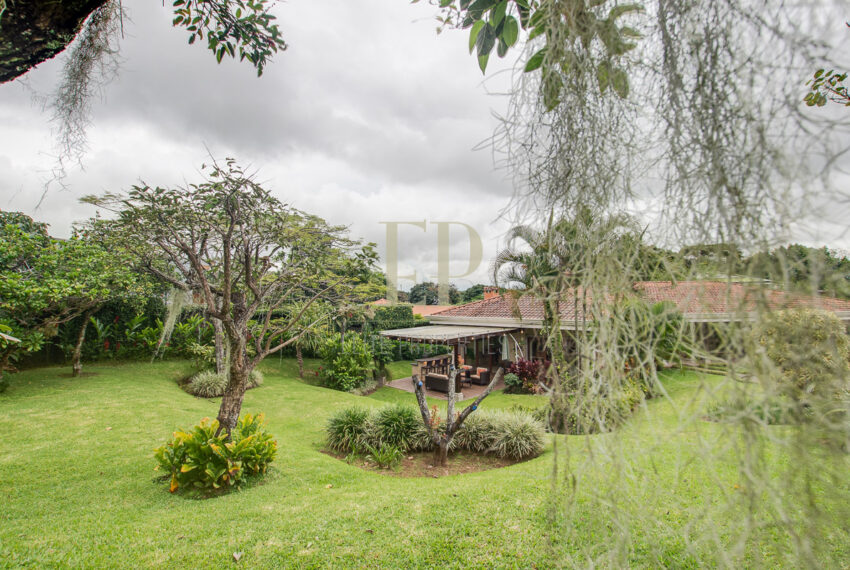 eliteproperties-66