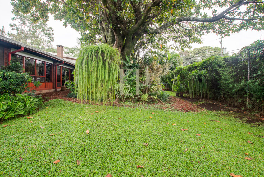 eliteproperties-66