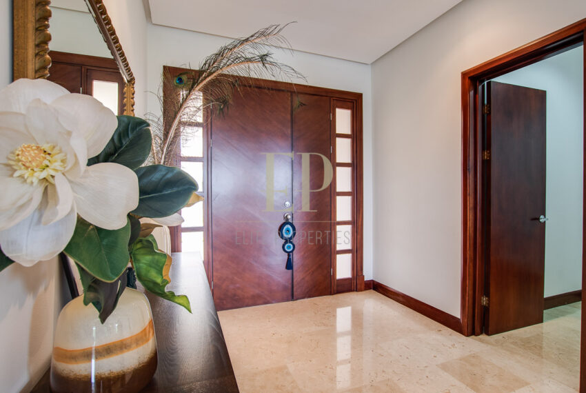 eliteproperties-43