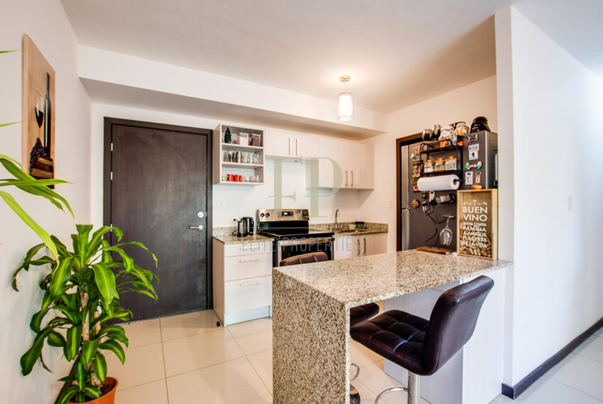 eliteproperties-4