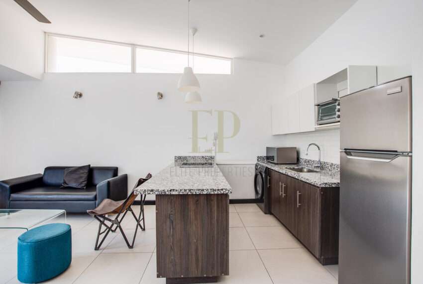 eliteproperties-4