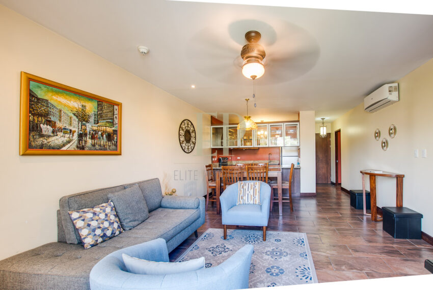 eliteproperties-15