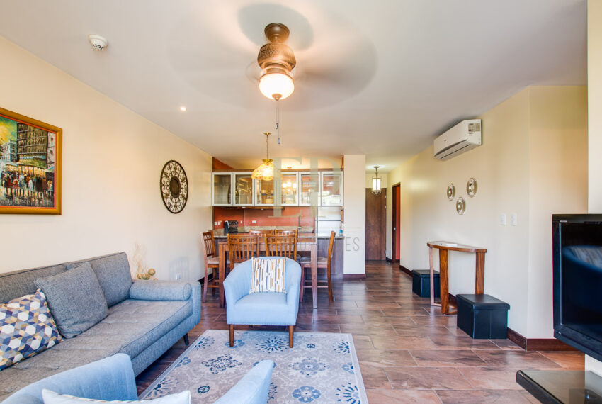 eliteproperties-16