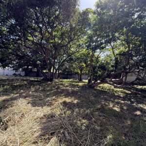 Terreno Premium de 1,120 m² para Desarrollo SANTA ANA RIO ORO