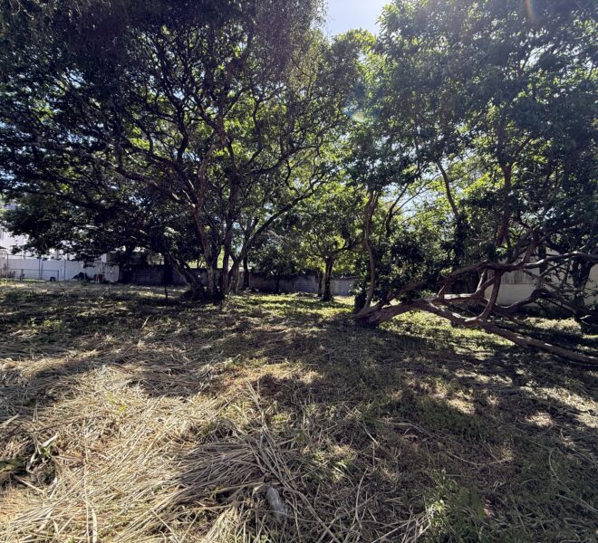 Terreno Premium de 1,120 m² para Desarrollo SANTA ANA RIO ORO