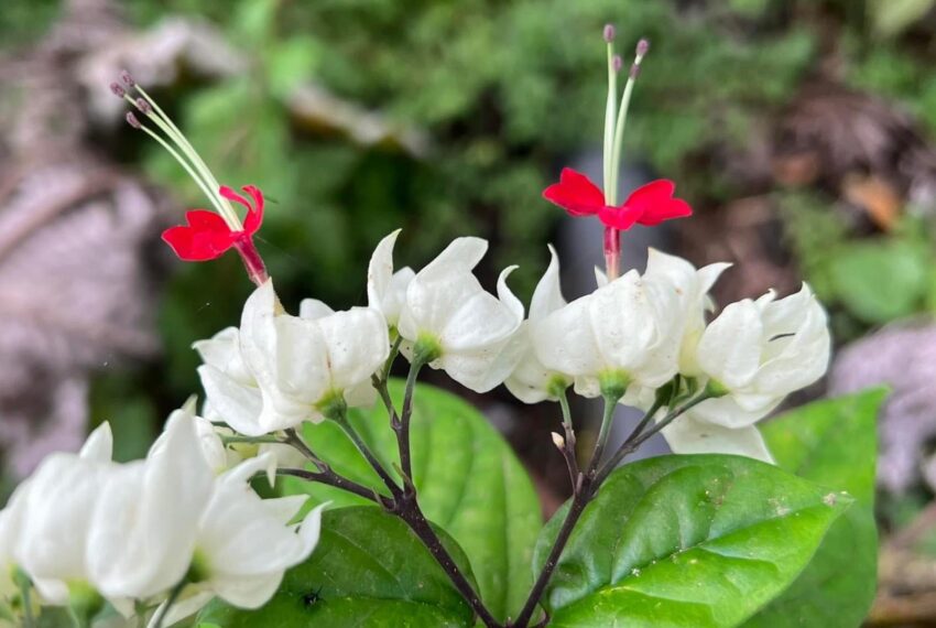 0348bd5b-7bd9-42d7-9e1d-a3d26bd6649f