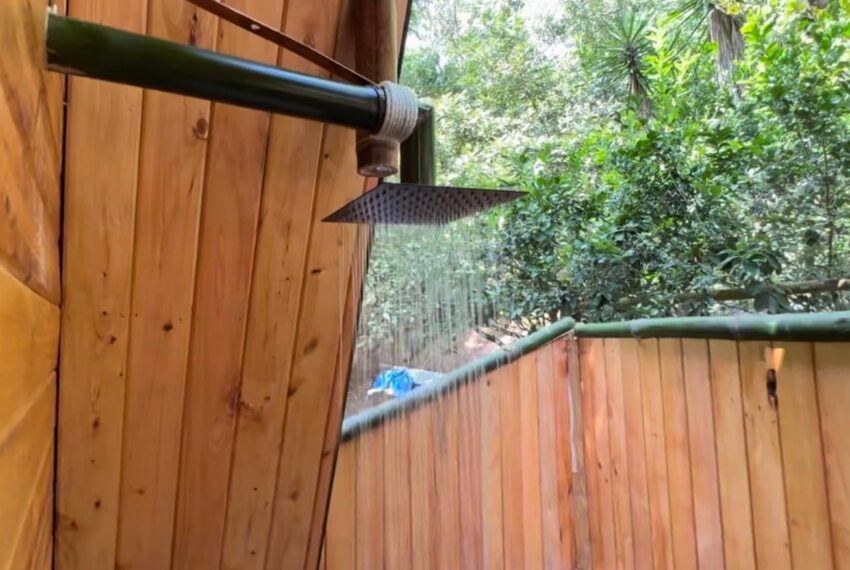 054e0180-550c-497c-b7bb-e5ab634721b1