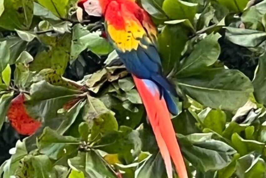 1f3fd54c-b171-41f1-bf28-5271c447ef4b