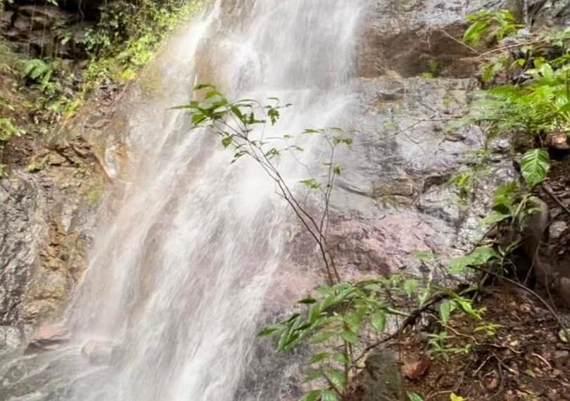 708b6a7d-0fe3-46e3-a233-28f755f95a43