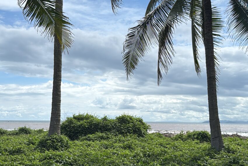 9DB59275-3A55-48EF-A3BC-9BD5AB6588A6