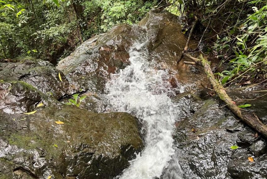 9c3ce85d-eb65-4508-9276-763724452ad2