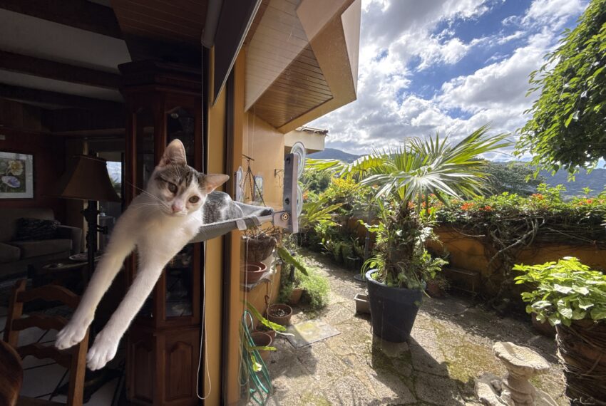 DJI_20251125_131952_426